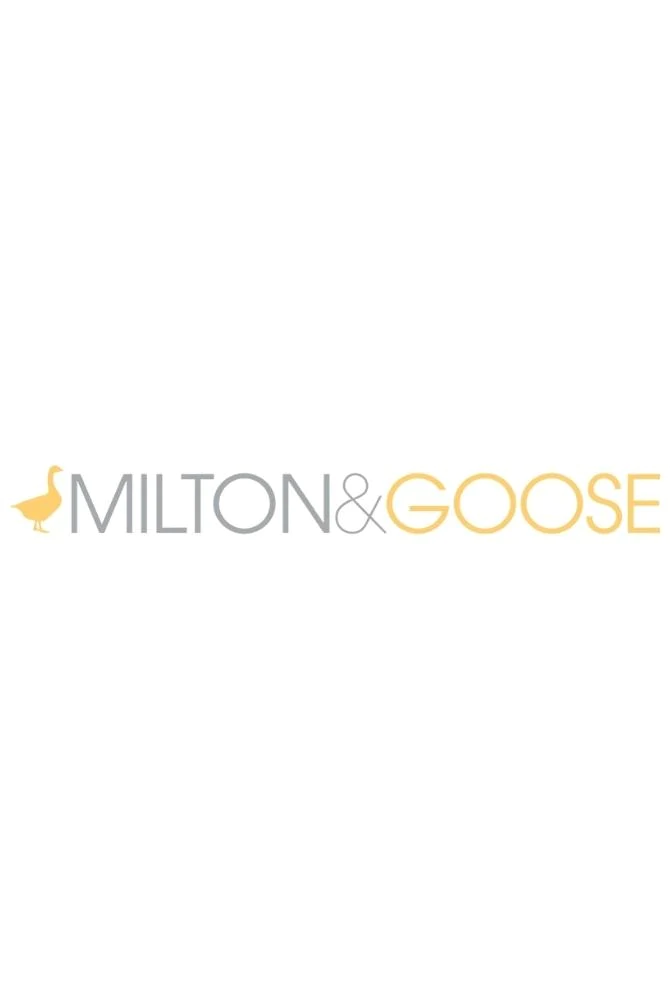 Milton and Goose toy kitchens